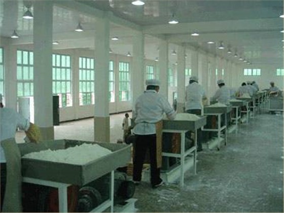  工业扫地车解决食品加工厂扬尘污染困扰